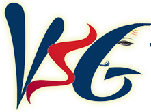 VSG Software Solutions logo